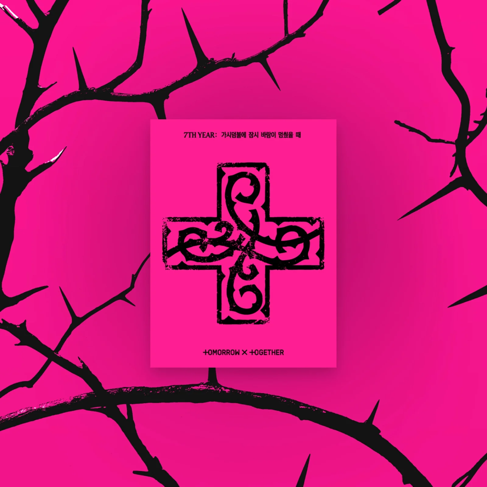 TXT - 7TH YEAR: A Moment of Stillness in the Thorns - 8th Mini Album (PPULBATU / Weverse Albums Ver.)